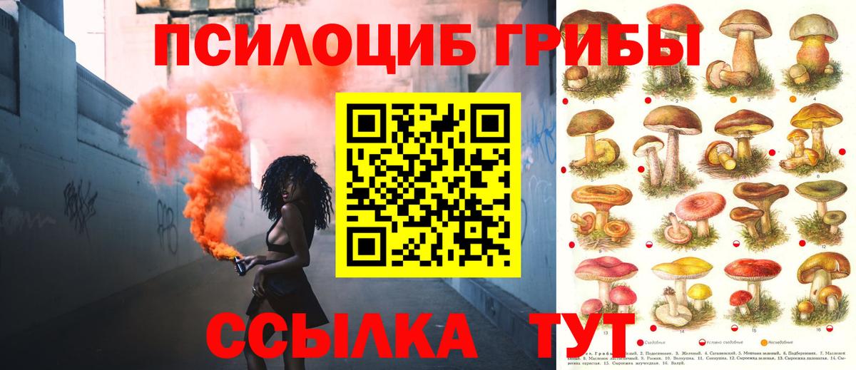 Галлюциногенные грибы Cubensis  Псилоцибиновые грибы мицелий  Вход с VPN  Каспийск 