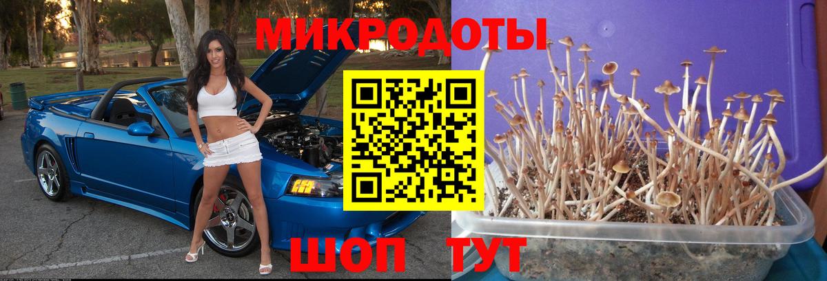 Галлюциногенные грибы мухоморы Каспийск